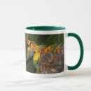 Search for rain forest home living Birds