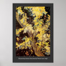 Search for acacia posters Floral