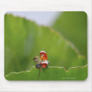 Search for green leaf mousepads Outdoors