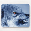 Search for digital wolf Wildlife