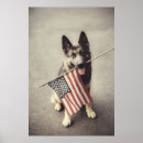 Search for shepherds posters Puppy