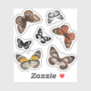 Search for colorful butterflies stickers Insect