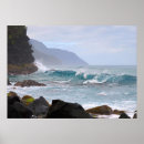 Search for kauai posters Coast