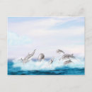 Search for leaping dolphins postcards Ocean