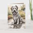 Search for mutte cards Pet