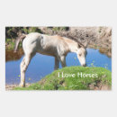 Search for foals stickers Horse