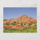 Search for tranquil scene postcards Plant