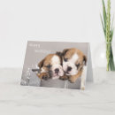 Search for english bulldog cards Animal