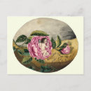Search for old fashioned valentine postcards Cupid