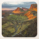 Search for scottish coasters Nature