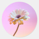 Search for scrapbook photography Pink