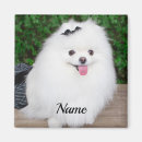 Search for adore magnets Puppies
