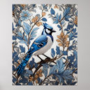 Search for jay posters Bird
