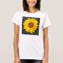 Search for flower singlets Summer