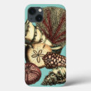 Search for algae electronics Sand dollar