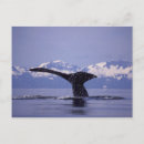Search for inside passage postcards Ocean