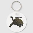 Search for galapagos key rings Ecuador