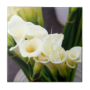 Search for calla lily flower tiles White flowers