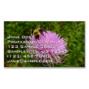 Search for thistles business cards Flower