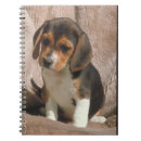 Search for beagle notebooks Puppy