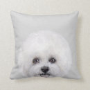 Search for bichon frise cushions Animal