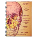Search for anatomy notebooks Science