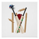 Search for cricket posters Ball