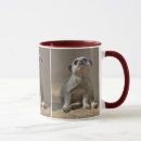 Search for kat mugs Cute