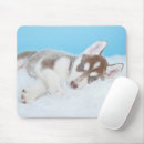 Search for a laying mousepads Dog
