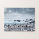 Search for antarctic puzzles Landscape