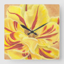 Search for tulip clocks Blooms