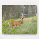 Search for selected electronics Wildlife