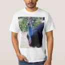 Search for big bird tshirts Wildlife