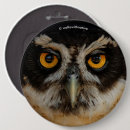 Search for owl badges Raptor