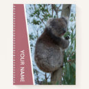 Search for koala notebooks Tree