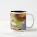Search for close up mugs Colourful