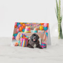 Search for newfoundland dog birthday cards Newfie