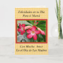 Search for felicidades cards For her