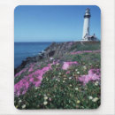 Search for wetland mousepads Water