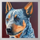 Search for cattle dog art Canine