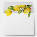 Search for lemon envelopes Botanical