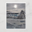 Search for limb postcards Outdoors