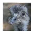 Search for tiled photography Bird