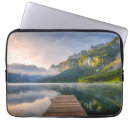 Search for spruce cases Landscape