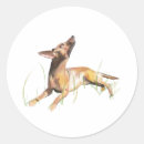 Search for pinschers stickers Minpin