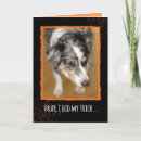 Search for herding cards invites Humourous