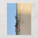 Search for teachers day birthday cards Friend