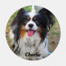 Search for papillon dog christmas tree decorations Animal