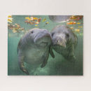 Search for manatee puzzles Ocean