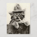 Search for vintage funny postcards Black and white